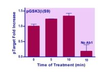 EnzyFluo Human/Mouse GSK3B(S9) Phosphorylation ELISA Kit