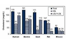 EnzyChrom HDL and LDL/VLDL Assay Kit