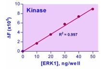 EnzyChrom Kinase Assay Kit