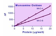 EnzyChrom Monoamine Oxidase Assay Kit