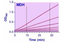 EnzyChrom Malate Dehydrogenase Assay Kit