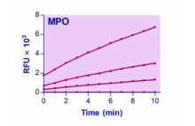 EnzyFluoTM Myeloperoxidase Assay Kit 