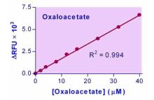 EnzyChrom Oxaloacetate Assay Kit