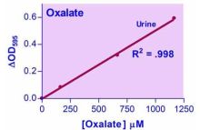 EnzyChrom Oxalate Assay Kit