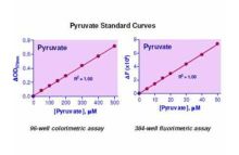 EnzyChrom Pyruvate Assay Kit