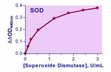 EnzyChrom Superoxide Dismutase Assay Kit