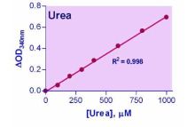 EnzyChrom Urea Assay Kit III 