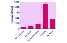 EnzyFluo Uricase Assay Kit