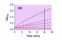 EnzyChrom Xanthine Oxidase Assay Kit