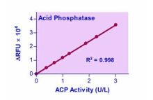 QuantiFluo Acid Phosphatase Assay Kit