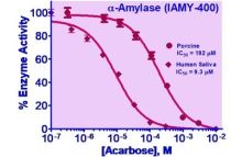 QuantiFluo α-Amylase Inhibitor Screening Kit