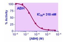 QuantiChrom Arginase Inhibitor Screening Kit