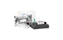 Activin AB ELISA