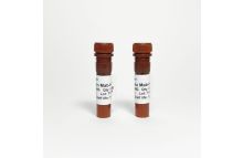 Monoclonal Anti-human Insulin antibody conjugated with HRP. 