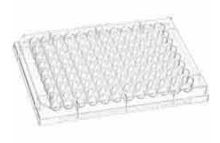 Microtiter Plates (P96CCC)
