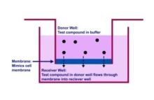 Parallel Artificial Membrane Permeability Assay (PAMPA) Kit
