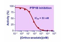 Phosphatase Inhibitor (Sodium Orthovanadate)