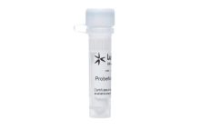 ProbeMaster Lyo UNI, 5x