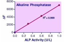 QuantiFluo Alkaline Phosphatase Assay Kit