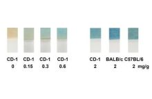 QuantiQuik Fecal Occult Blood Test Strips