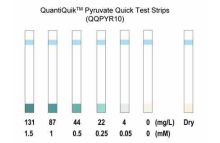 QuantiQuik Pyruvate Quick Test Strips