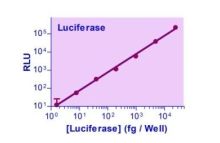 SuperLight Luciferase Reporter Gene Assay Kit