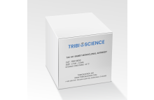 Tau 441 rabbit monoclonal antibody