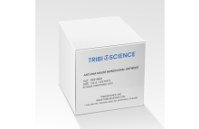Anti-DNA Mouse Monoclonal Antibody