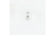 RBMS2 (B-4) Mouse Monoclonal Antibody