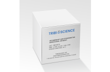 Recombinant Anti-DYKDDDDK-Tag Monoclonal Antibody