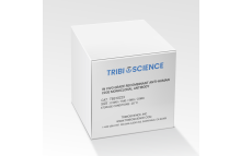 In vivo Grade Recombinant Anti-human CD3e Monoclonal Antibody