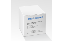 Tanezumab Biosimilar, Human NGF Monoclonal Antibody