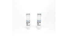 Monoclonal Antibody to Human IFN-Gamma