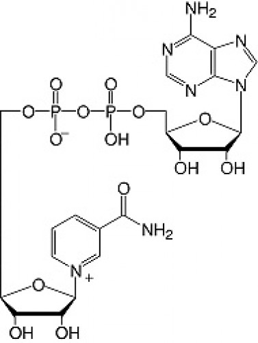 Nicotinamide adenine dinucleotide analytical grade