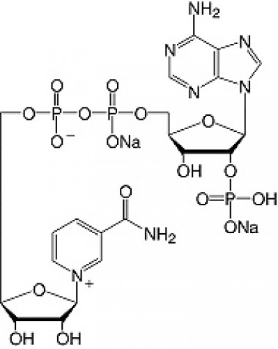 Nicotinamide adenine dinucleotide phosphate-Na2-salt research grade