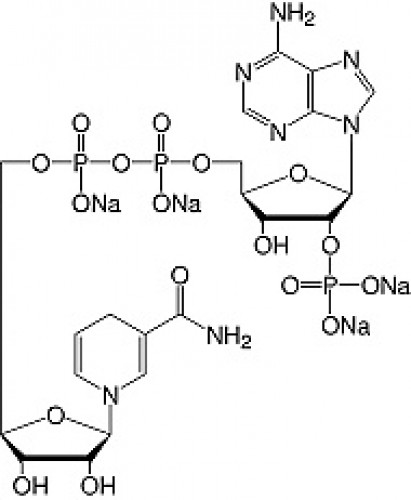 Nicotinamide adenine dinucleotide phosphate reduced -Na4-salt analytical grade