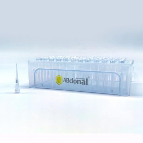 Sterile DNase/RNase-free Filtered Pipette Tip 10μL 