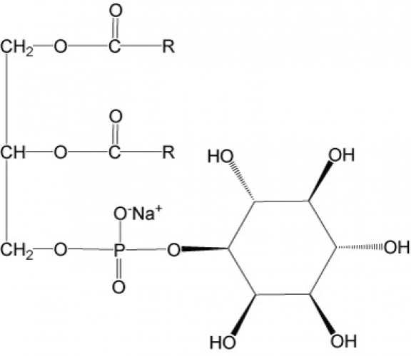 Phosphatidylinositol, (plant, soy), (Na salt)/ml 1 ml chloroform