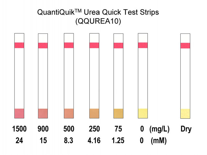 QuantiQuik™ Urea (BUN) Quick Test Strips