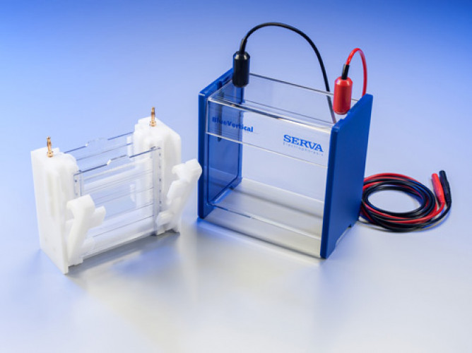 BlueVertical(TM) PRiME(TM) Mini Slab Gel Electrophoresis Unit (10 x 10 cm)