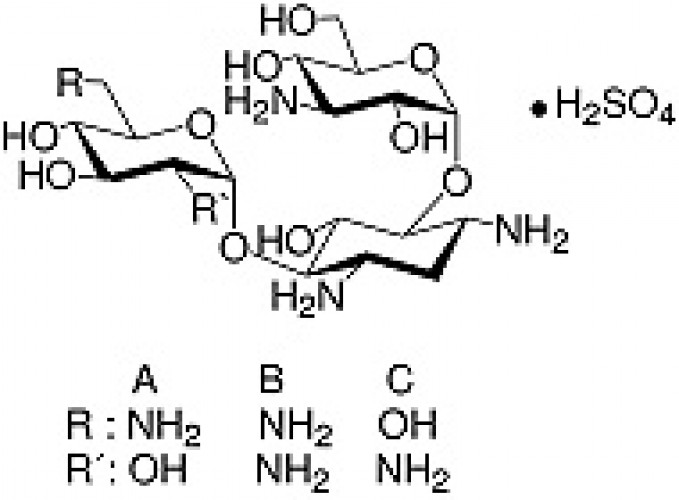 Kanamycin sulfate-H2O molecular biology grade, Ph. Eur.