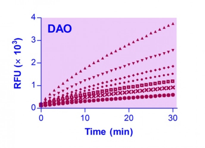 QuantiFluo™ Diamine Oxidase Assay Kit
