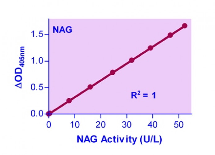 QuantiChrom™ β-N-Acetylglucosaminidase Assay Kit 