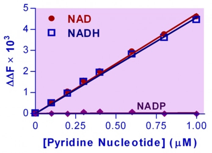 EnzyFluo™ NAD/NADH Assay Kit