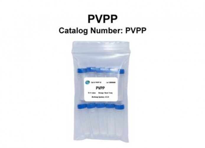 PVPP Powder