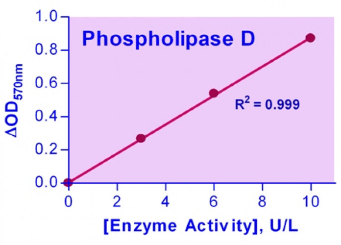 EnzyChrom™ Phospholipase D Assay Kit