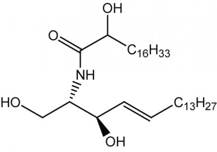 Ceramides, (hydroxy)