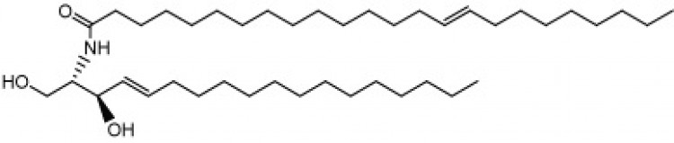 N-Tetracosenoyl-D-erythro-sphingosine
