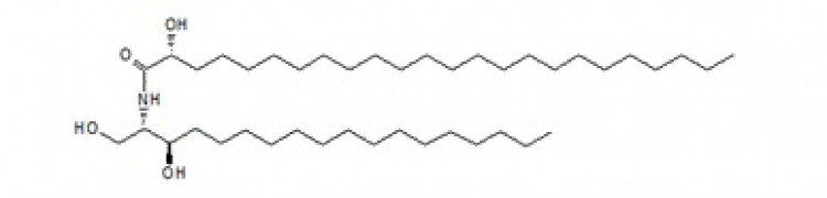 N-(R)-alpha-Hydroxytetracosanoyl-D-erythro-dihydrosphingosine