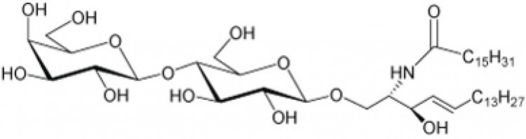 N-Hexadecanoyl-lactosylceramide